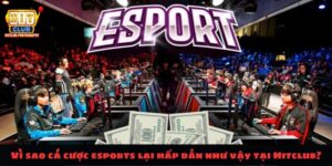 Lý do tại sao cá cược esports lại hấp dẫn như vậy tại Hitclub?