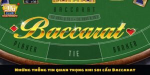 Những chú ý quan trọng khi soi cầu Baccarat